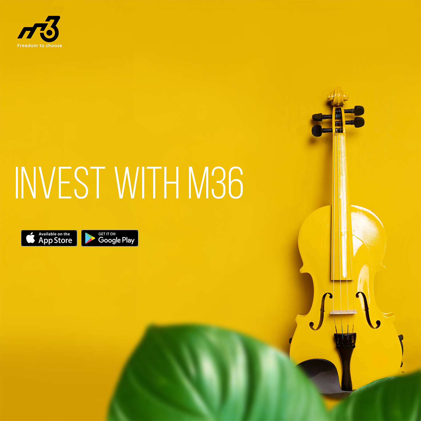 M36 brand campaign